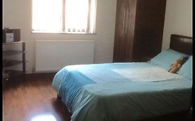Room In Bb - Tara House, Cozy Home In London